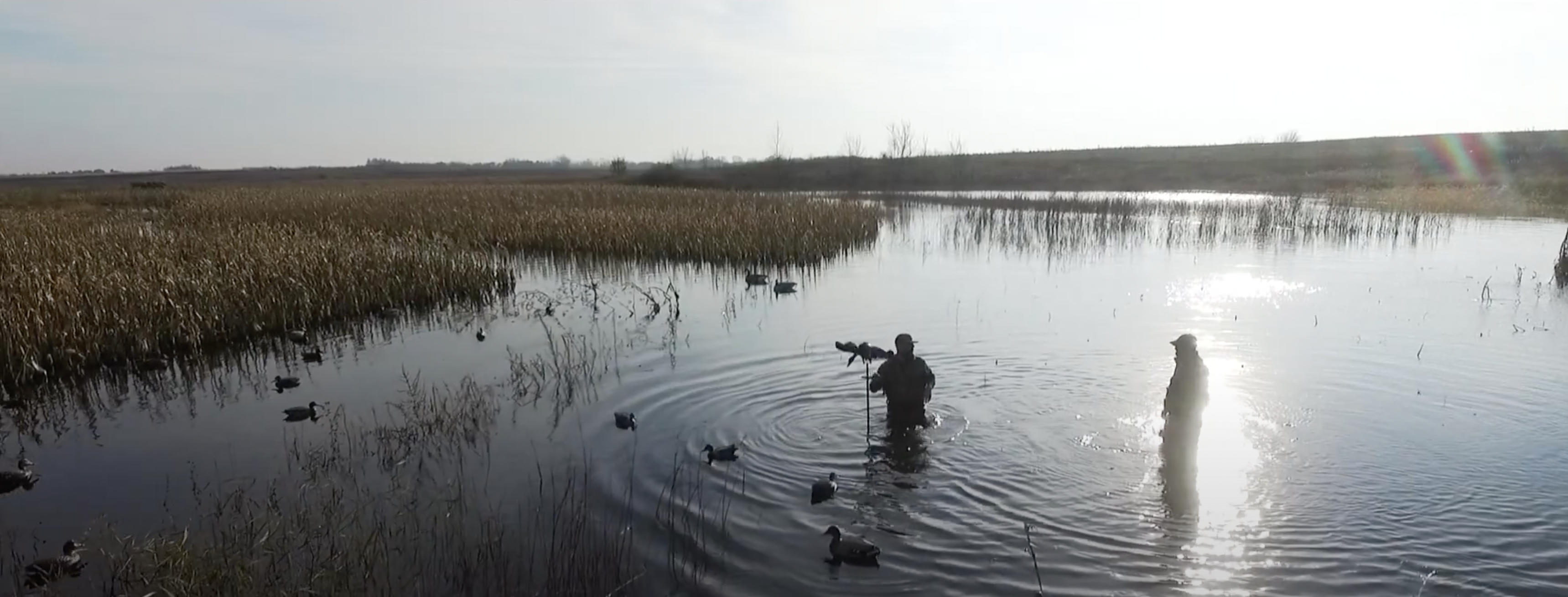 Land for Sale LandCo Farmland for Sale 2025-01-07 at 10.53.21 AM