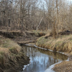 Tract 10 Slide 2Creek Bottom