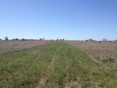 ILC Assists in Putting in some Upland Game and Dove Plots on 207 Acres for sale in Peoria County