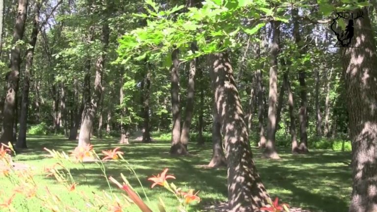 New Video up on the 55 Acres in Stark County with Cabin and Lake!
