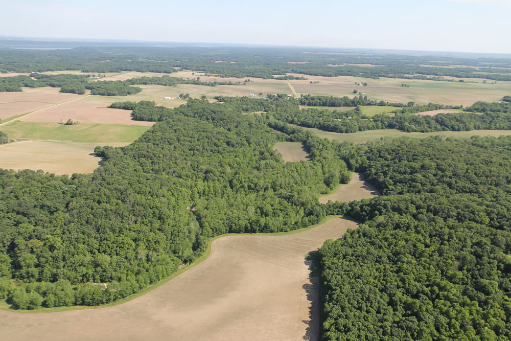 New Listing! 130 Acres in Woodford County! Only minutes from Peoria!