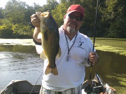 Multiple Monster Bass caught at the 55 acres for sale in Stark County