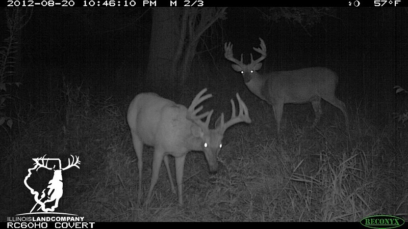 First Round of Trail Cam Pics at Grand Valley North captures some Giant Whitetails
