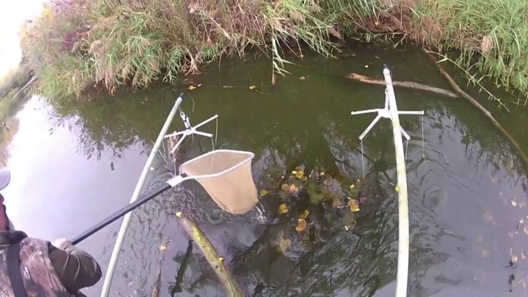 ProStaff Electrofishing trip to the Knox 480