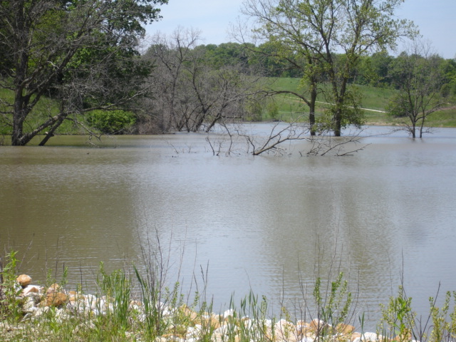 New ILC Listing! 100 Acres in Knox County with 10 Acre Lake!