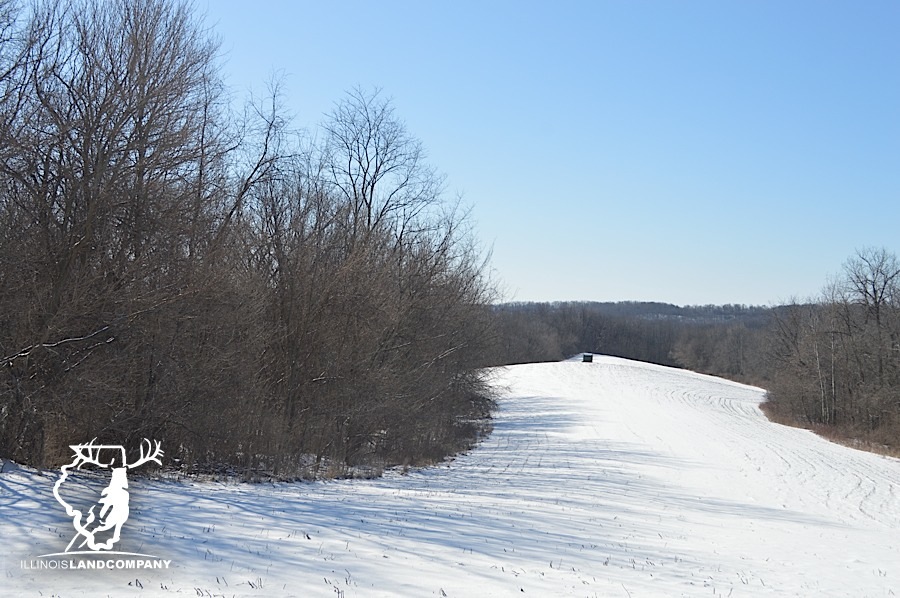 New ILC Listing! 30 Acres in Carroll County