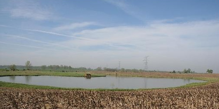 New Listing in Fulton County – 155 acres with 110 Tillable!