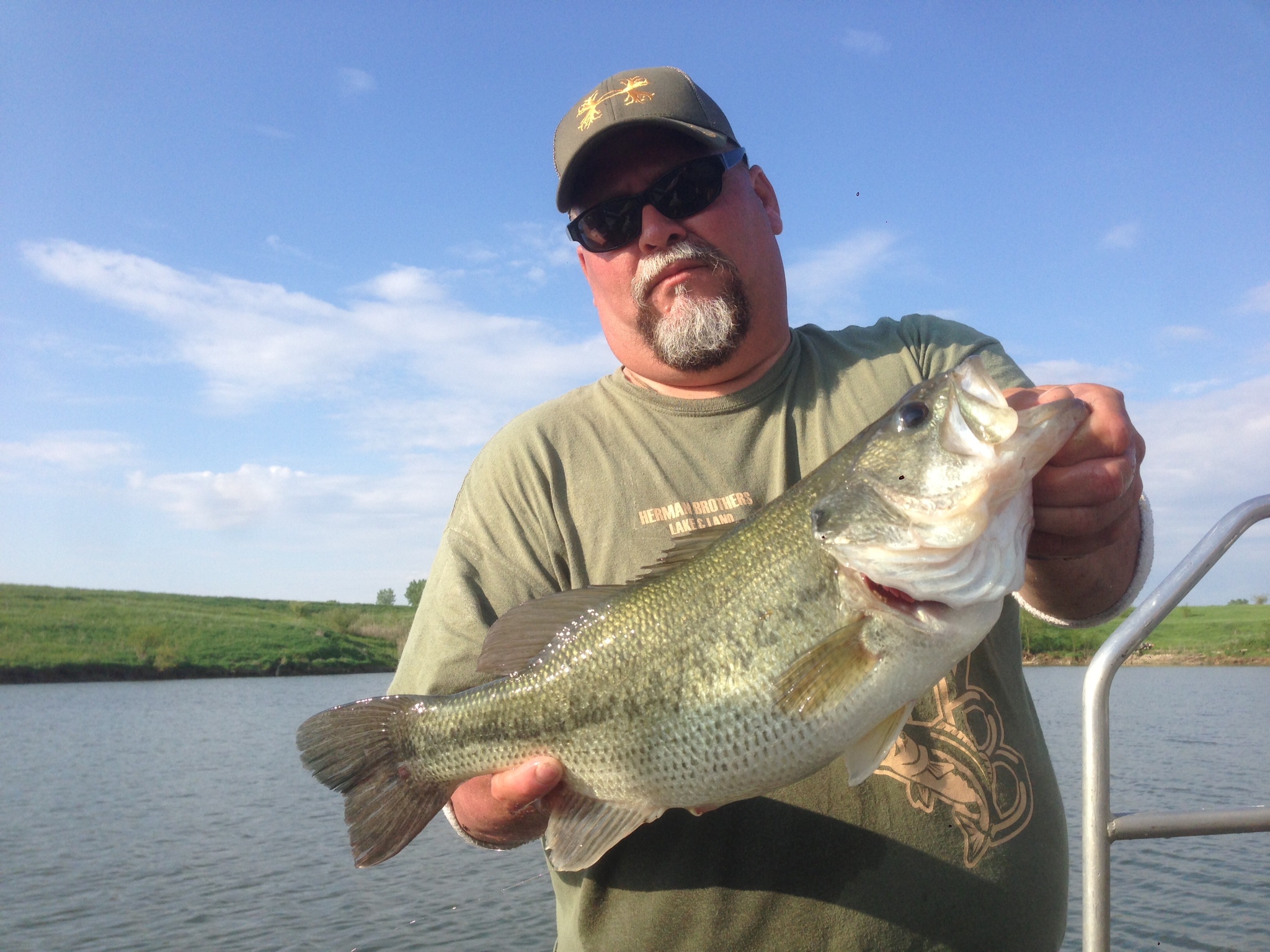 Electrofishing at the 1000 acre listing in Fulton