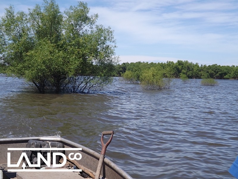 New 40 Acre Waterfowl Property in Cass County!