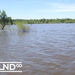 Cass County 40 Acres Land for Sale