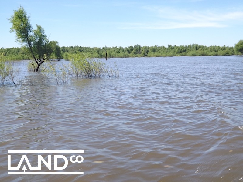 New Listing – 40 Acres in Cass County