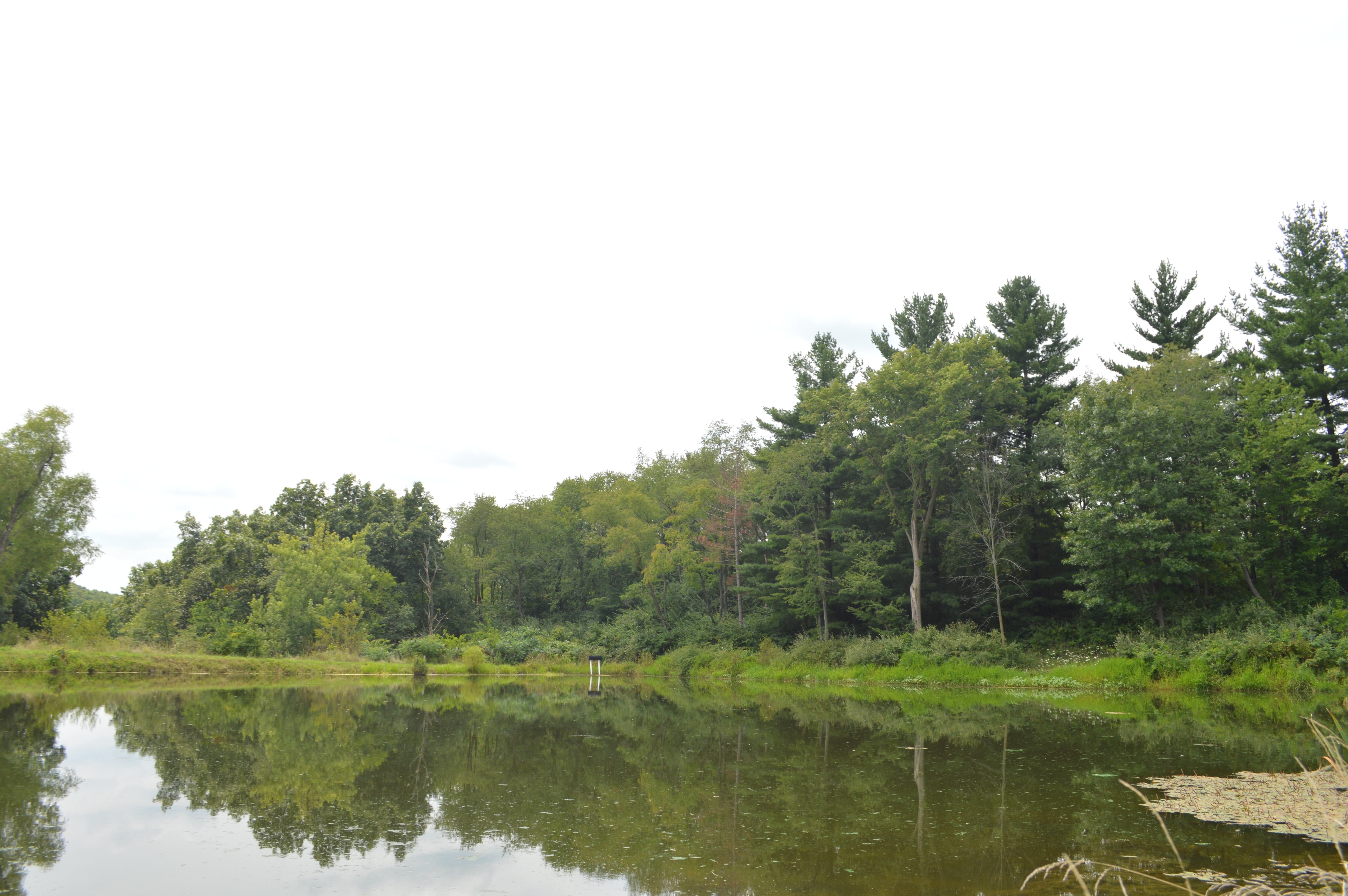 Huge price drop on the 75 acres in Knox County with Incredible Lodge! New Video up Too!