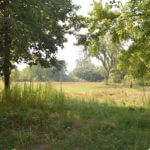 landco25landforsale1-921×517