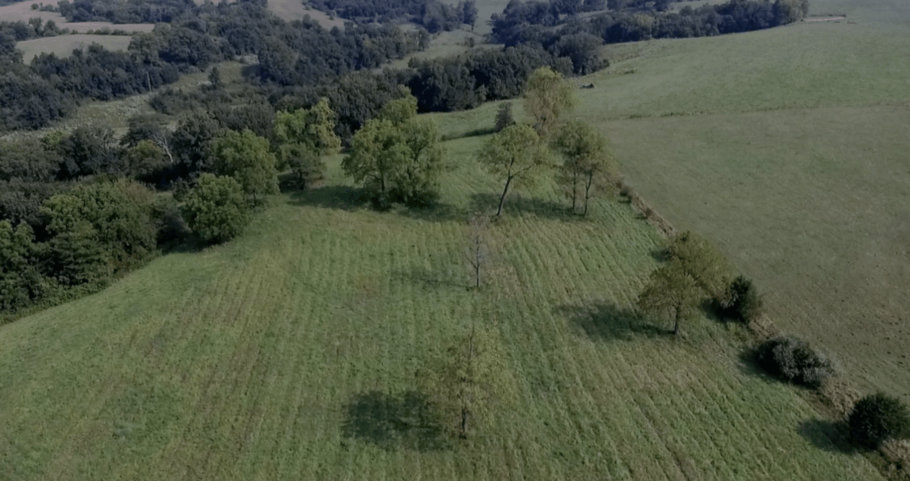 Another Price Drop! 78 Acres in Fulton drops $39,000!