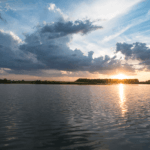 Land for Sale LandCo Farmland for Sale 2017-07-26 at 1.33.40 PM