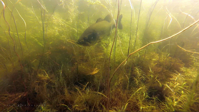 The Incredible Myth about Illinois Lake Depth