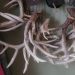 land_for_sale_-knox_190_landco_-4