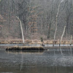 land_for_sale_-knox_190_landco_-14