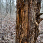 land_for_sale_-knox_190_landco_-15