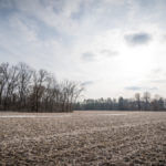 Illinois Land for Sale-18