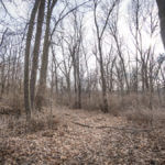 Illinois Land for Sale-19