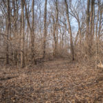 Illinois Land for Sale-20