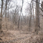 Illinois Land for Sale-21