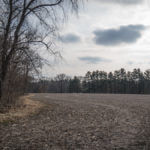 Illinois Land for Sale-22