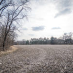 Illinois Land for Sale-23