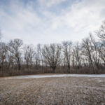 Illinois Land for Sale-24