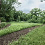 Land for Sale LandCo Farmland for Sale 2018-06-11 at 11.52.19 AM