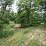 Land for Sale LandCo Farmland for Sale 2018-06-11 at 11.53.37 AM