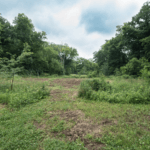 Land for Sale LandCo Farmland for Sale 2018-06-11 at 11.54.28 AM