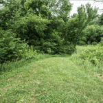 Land for Sale LandCo Farmland for Sale 2018-06-11 at 11.55.00 AM