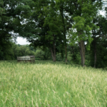 Land for Sale LandCo Farmland for Sale 2018-06-11 at 11.55.44 AM