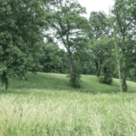 Land for Sale LandCo Farmland for Sale 2018-06-11 at 11.56.42 AM