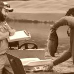 FIsh-Management-vintage
