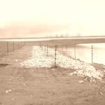 dsc00106_6038763140_o-vintage