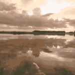 Land-for-Sale-LandCo-Farmland-for-Sale-2018-02-14-at-10.48.38-AM-vintage
