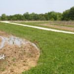 illinois-land-for-sale-100-acres-in-knox-county_8561195209_o1-921×517