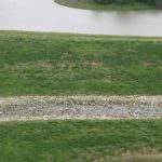 illinois-land-for-sale-100-acres-in-knox-county_8561194463_o1-921×517