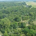 john-oreilly2013-08-26_15-22-08illinois-land-for-sale-fulton-county-hunting-farm-land1-921×517