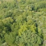 john-oreilly2013-08-26_15-25-00illinois-land-for-sale-fulton-county-hunting-farm-land1-921×517