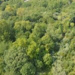 john-oreilly2013-08-26_15-24-58illinois-land-for-sale-fulton-county-hunting-farm-land1-921×517