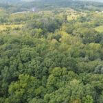 john-oreilly2013-08-26_15-24-44illinois-land-for-sale-fulton-county-hunting-farm-land1-921×517