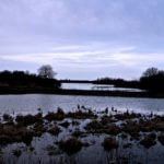 john-oreilly2014-04-23_19-39-43illinois-land-for-sale-fulton-county-hunting-farm-land-921×517