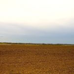 john-oreilly2014-04-23_18-25-11illinois-land-for-sale-fulton-county-hunting-farm-land-921×517