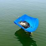 john-oreilly2014-04-23_16-52-32illinois-land-for-sale-fulton-county-hunting-farm-land-921×517