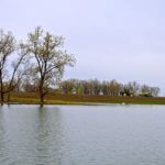 john-oreilly2014-04-23_16-45-30illinois-land-for-sale-fulton-county-hunting-farm-land-921×517