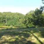 2012-06-19-05-12-33-921×517